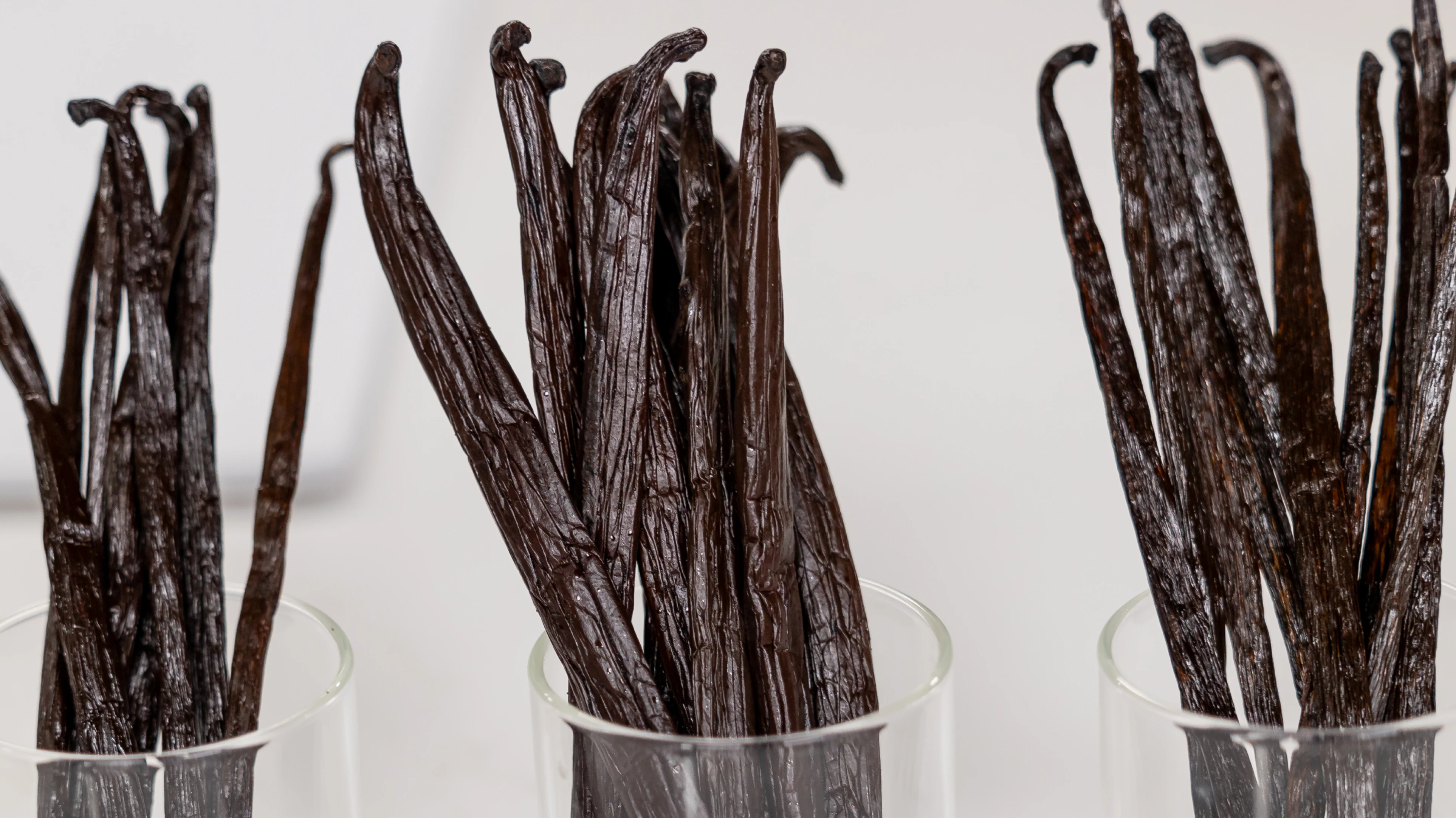 The Importance of Quality Vanilla: Extracts, Beans, and Alternatives